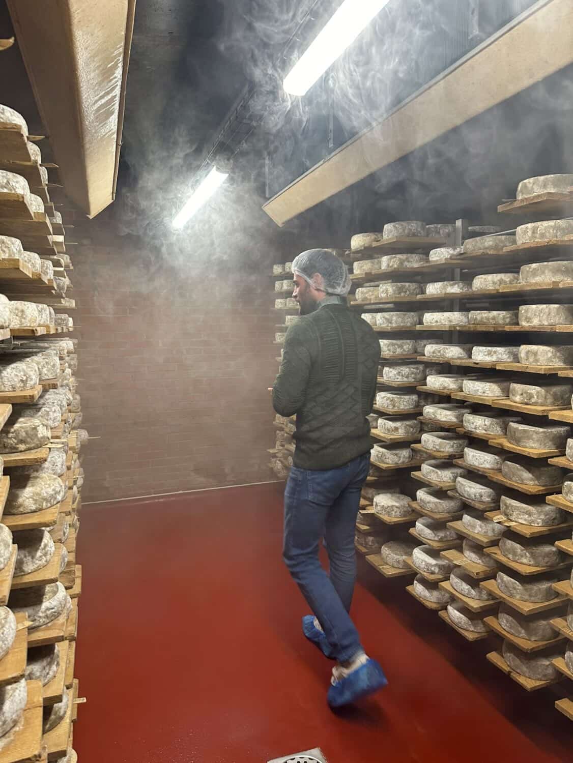 Caves et meules de fromages